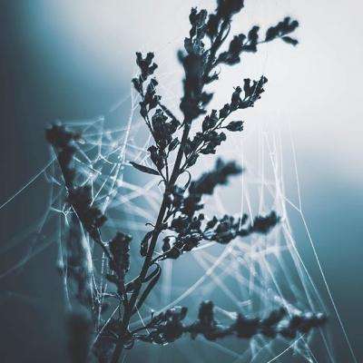 万博全站(ManBetX)手机app下载截图